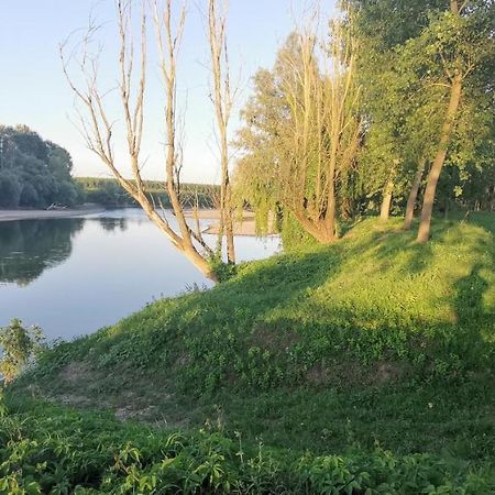 Villa Pertini Appartamento Primo Piano Nel Parco Oglio Sud Canneto sull'Oglio Екстериор снимка